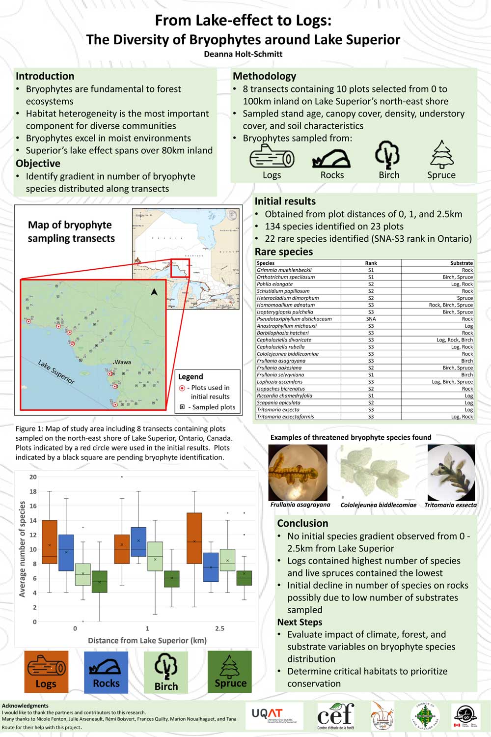 From lake-effect to logs: The diversity of bryophytes around Lake Superior