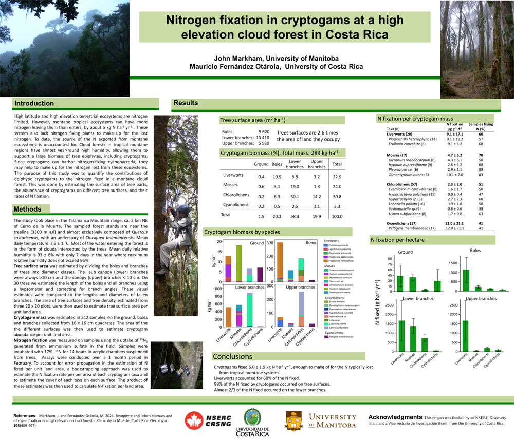 Nitrogen fixation in cryptogams at a high elevation cloud forest in Costa Rica